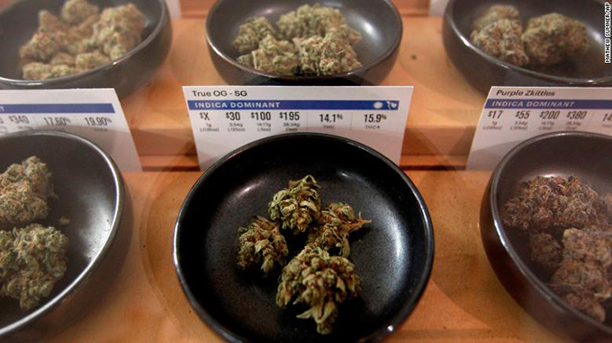 Dân California xếp hàng trắng đêm đầu năm mới để mua cần sa